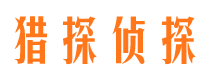 乐都市调查公司